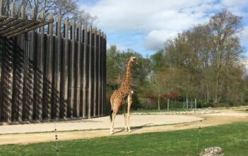 Les animaux du Parc de la Tête d'Or à Lyon