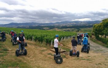 Team Bulding - Balade dans les vignes du Beaujolais