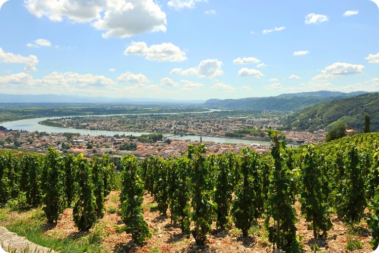 ViaRhôna à vélo : itinéraire, étapes et bons plans - Tournon et Vallée du Rhône