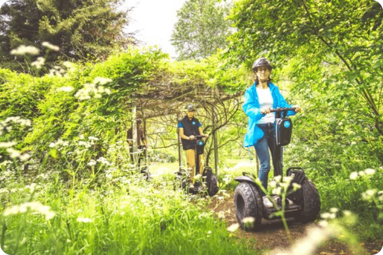 Balade dans les bois