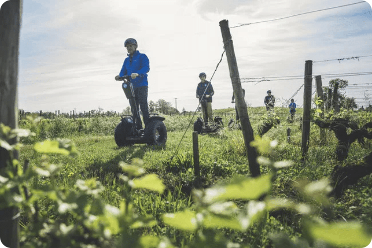 Groupe à Segway dans les vignes de Bordeaux
